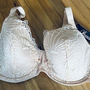 Paramour36G Lace Bra in Cream